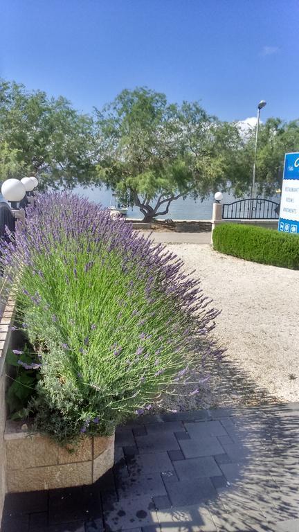 Villa Mediterana Seget Vranjica Εξωτερικό φωτογραφία